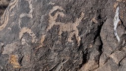 China Draw North of Deming, New Mexico