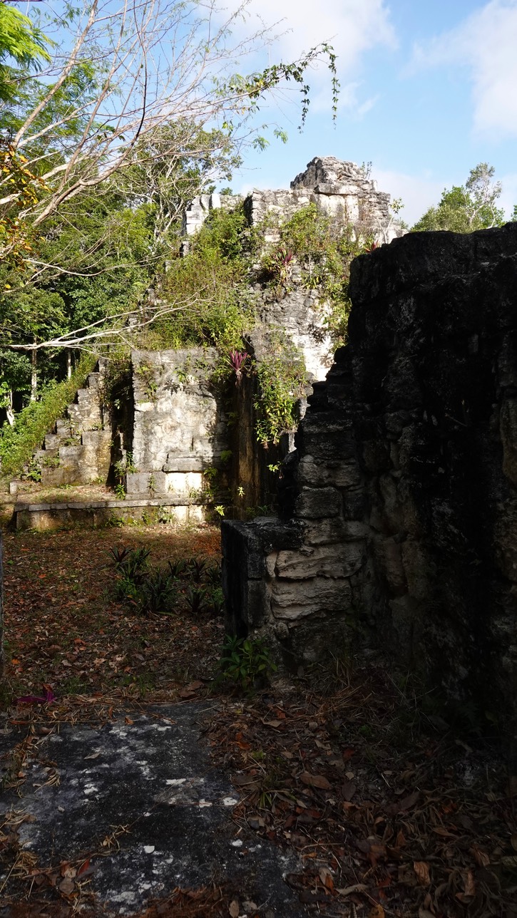 DSC09009