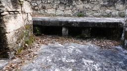 DSC09010