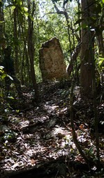 DSC09069