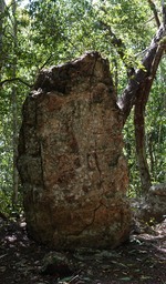 DSC09070