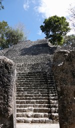 DSC09118