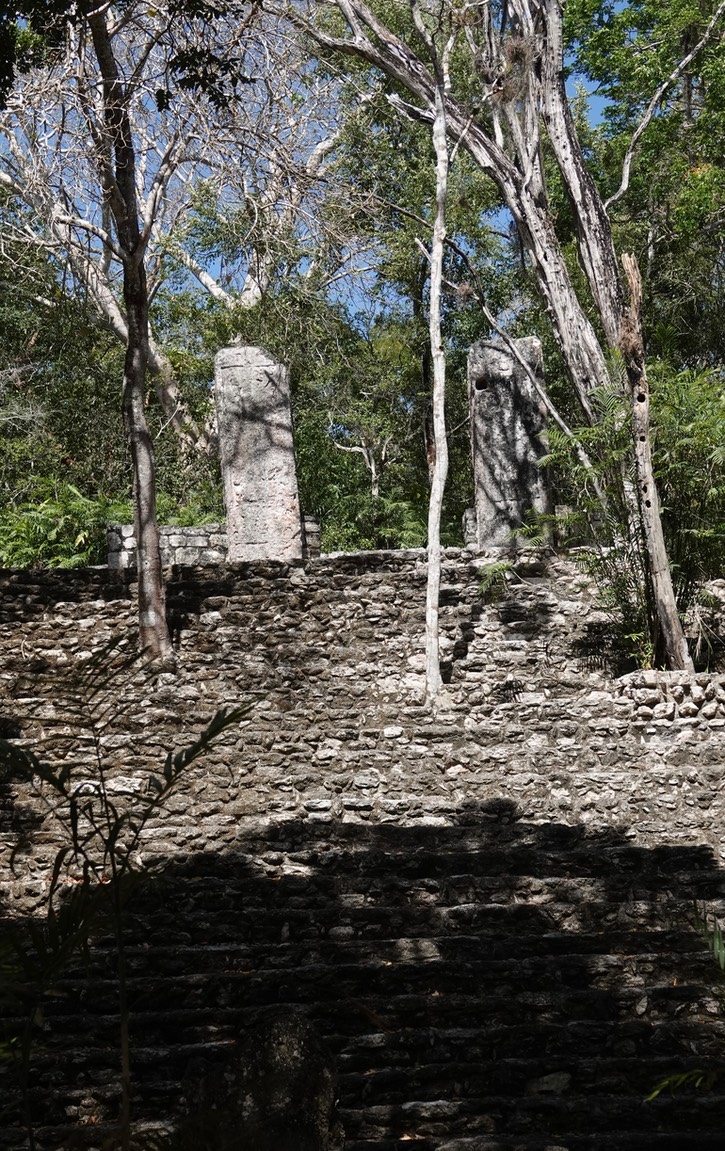 DSC09124