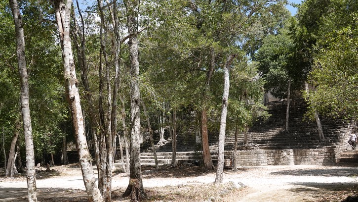DSC09151