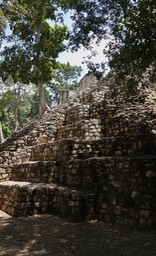 DSC09157