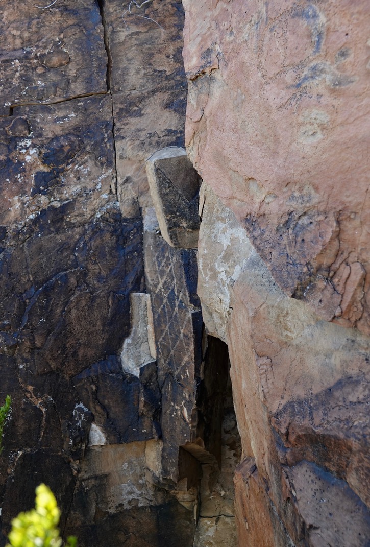 East of Radium Springs116