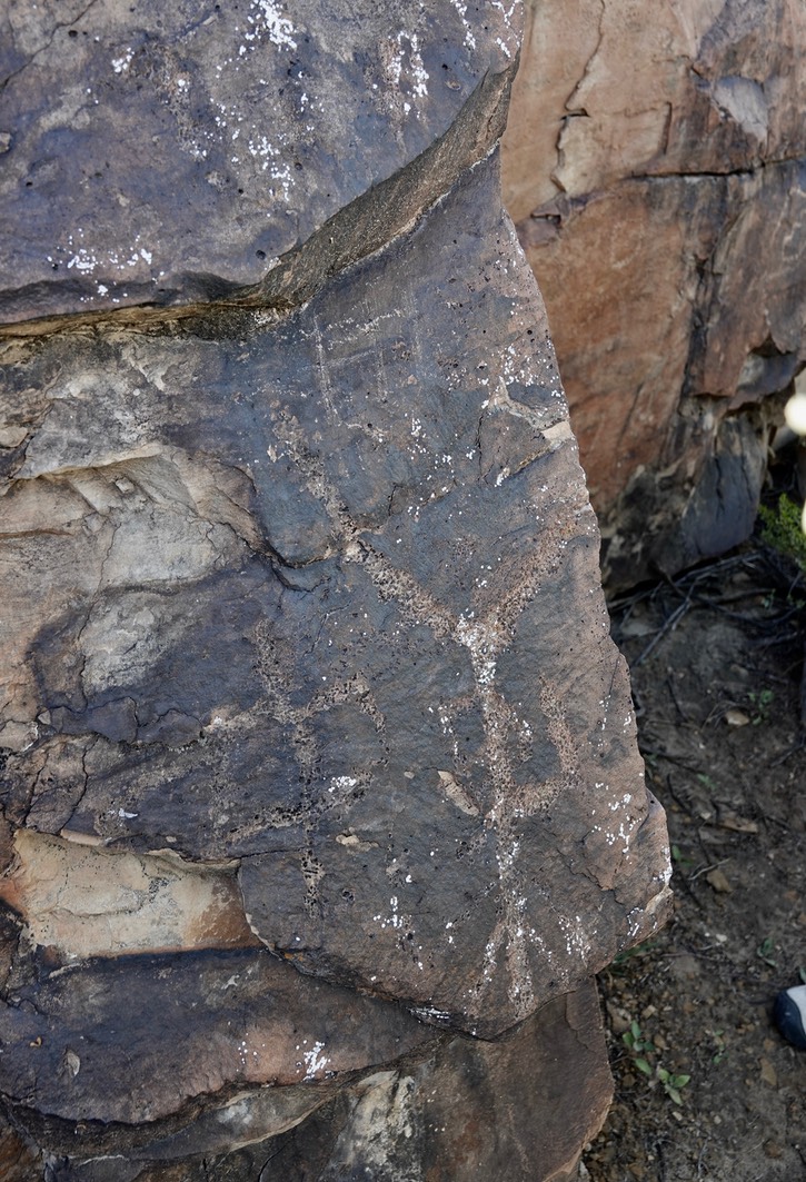 East of Radium Springs118