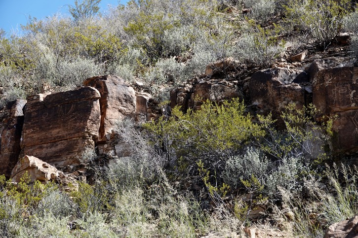 East of Radium Springs25