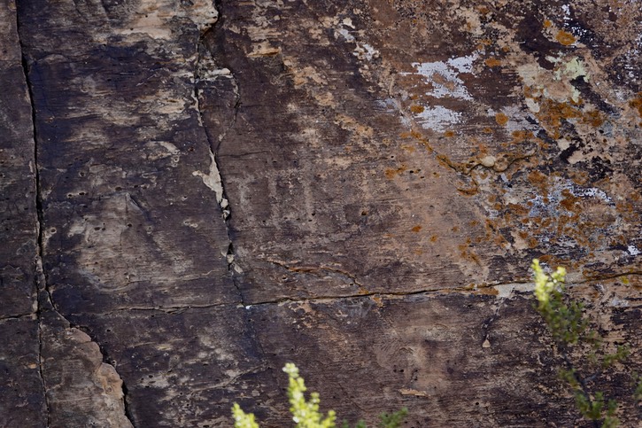 East of Radium Springs43