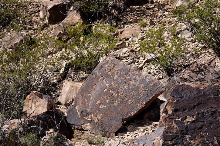 East of Radium Springs61