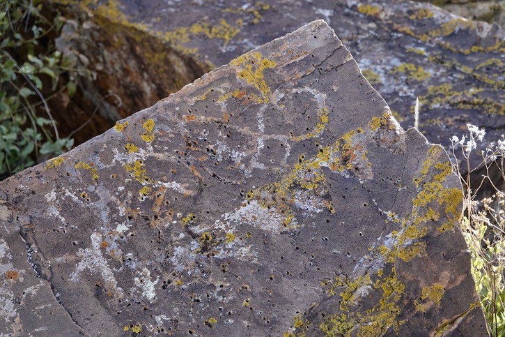 East of Radium Springs65