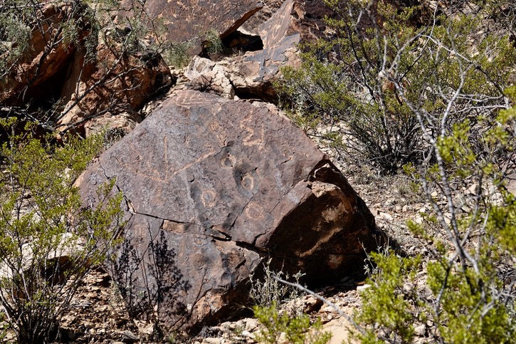 East of Radium Springs69