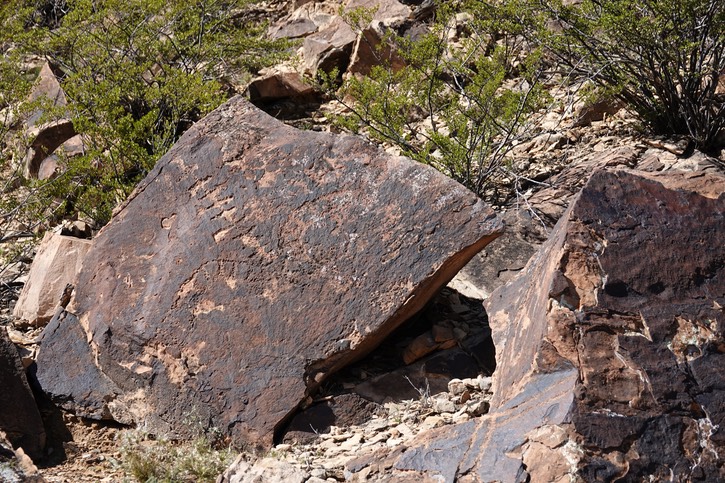 East of Radium Springs74
