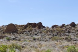 IMG_3884