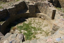 IMG_3976