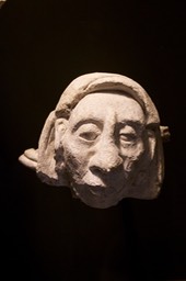 IMG_8248