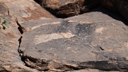 McGee Canyon, Starvation Draw, SW NM54