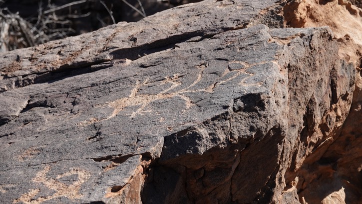 McGee Canyon, Starvation Draw, SW NM44