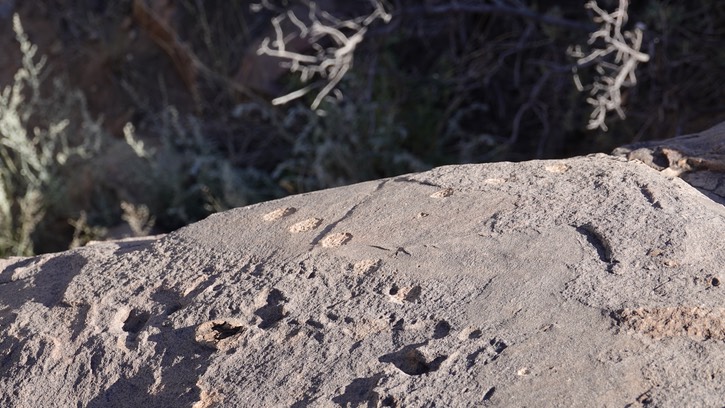 McGee Canyon, Starvation Draw, SW NM43