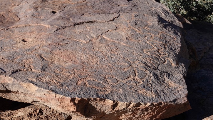 McGee Canyon, Starvation Draw, SW NM41