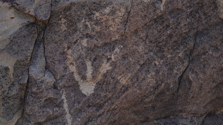 McGee Canyon, Starvation Draw, SW NM17