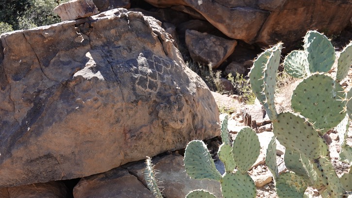 McGee Canyon, Starvation Draw, SW NM7