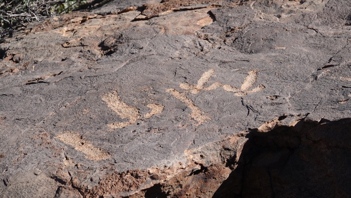 McGee Canyon, Starvation Draw, SW NM46