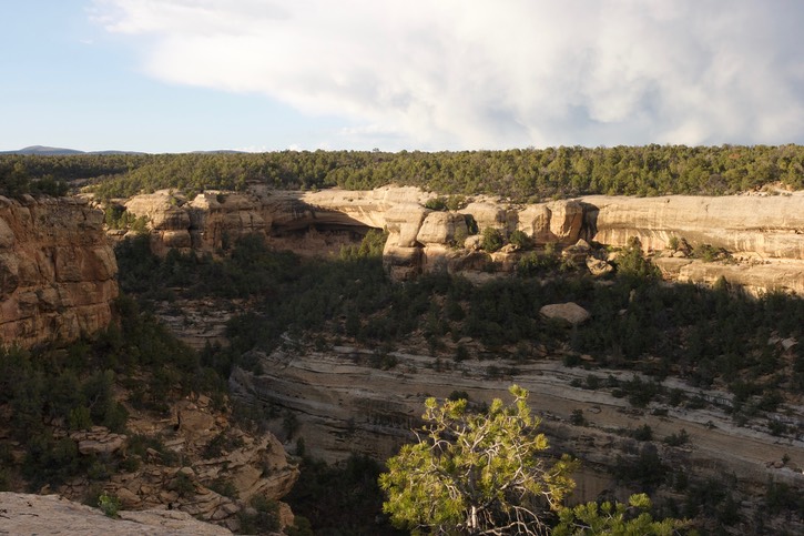 Mesa Verde 10
