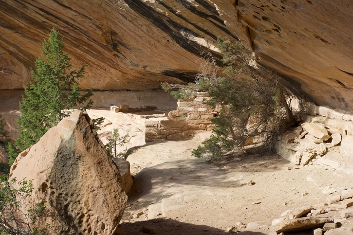 Mesa Verde 2