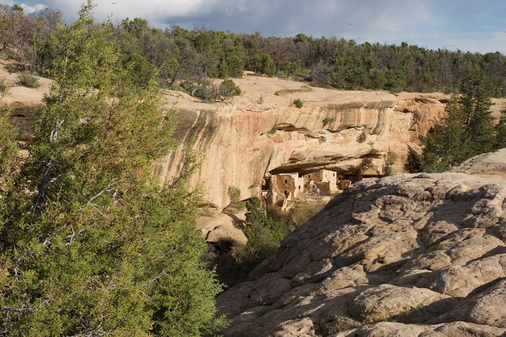 Mesa Verde 4