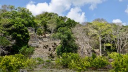 Near Dzibanche, Quintana Roo, Mexico2