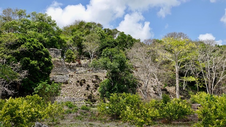 Near Dzibanche, Quintana Roo, Mexico2