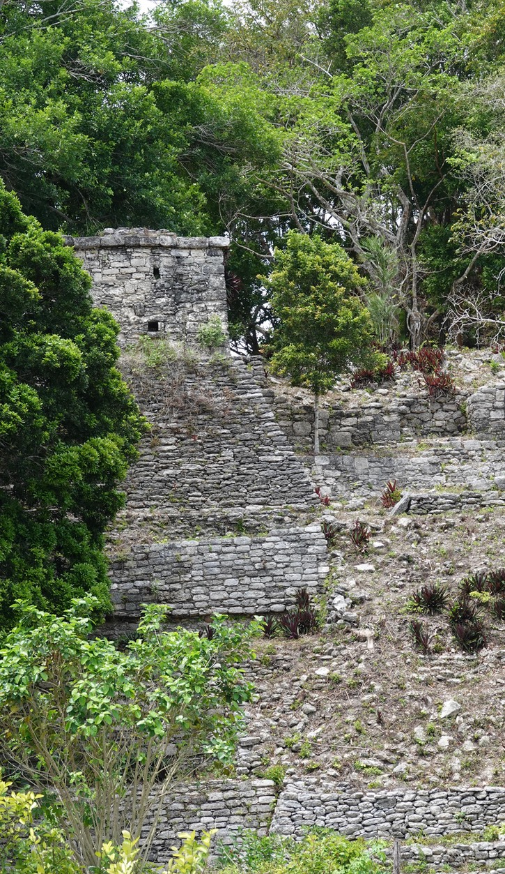 Near Dzibanche, Quintana Roo, Mexico1