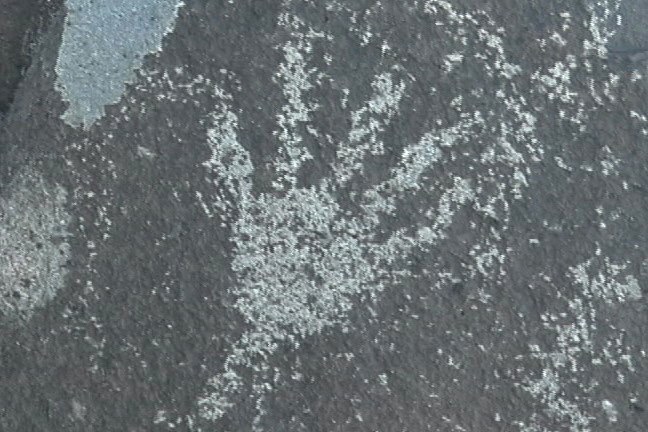 Pectoglyph 16