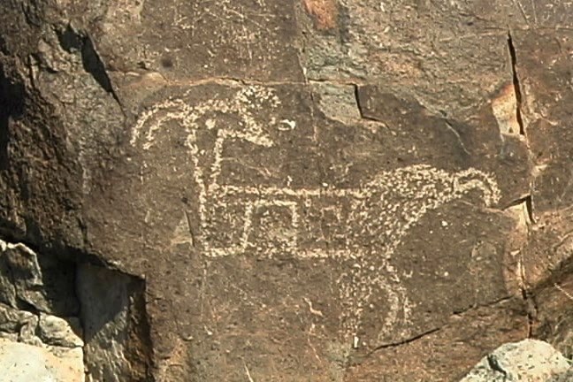 Pectoglyph 18