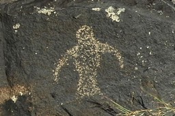 Pectoglyph 5