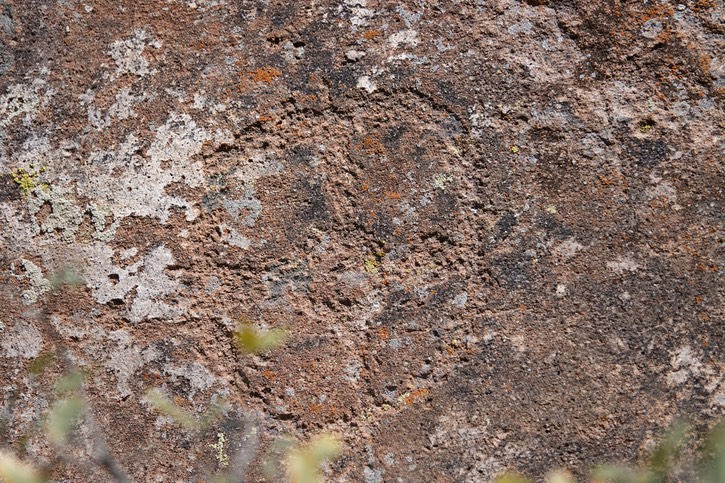 Valles Canyon - Sierra de las Uvas -33