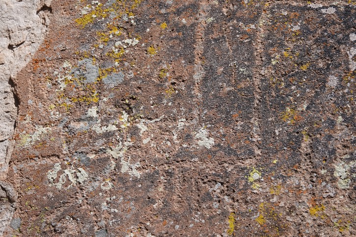 Valles Canyon - Sierra de las Uvas -34