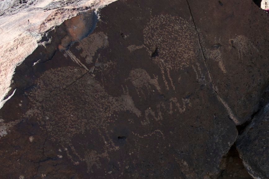 IMG_1155 - Version 2